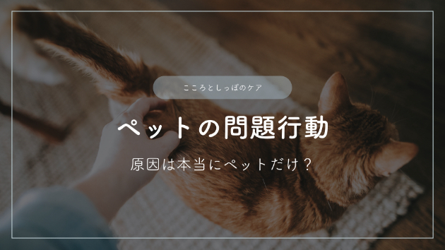 ペットの問題行動―原因は本当にペットだけ？