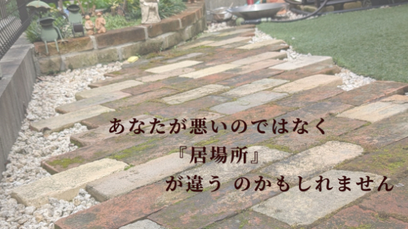 カバー画像