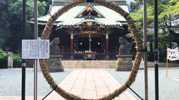 暦を活かす夏至