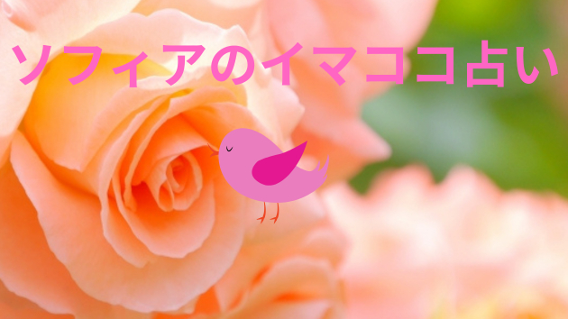 ソフィアの今日の一枚メッセージ(5/1)