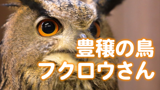 カバー画像