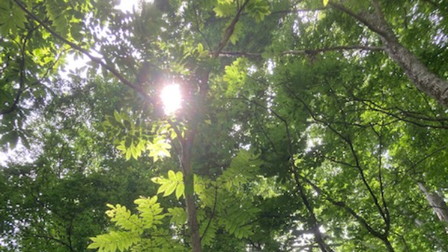 神との対話④ 第二十三章 『多くの知恵ある存在はいろいろな気づきのレベルのあいだを揺れ動い…』