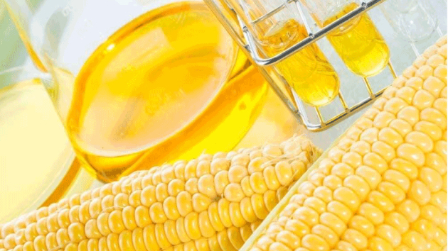 476・24の日常的な食べ物が有害である可能性 10/24