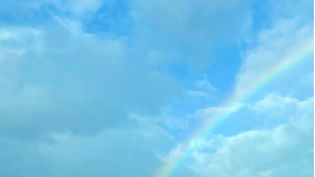 雨の日には、雨の日の役目がある