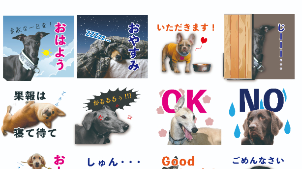 カバー画像