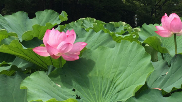 ひとりじゃないよ