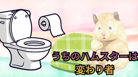 うちのハムスターは変わり者