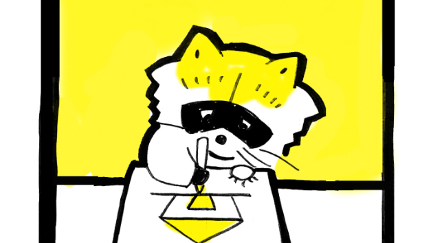 きょうのどうぶつ「アライグマ」