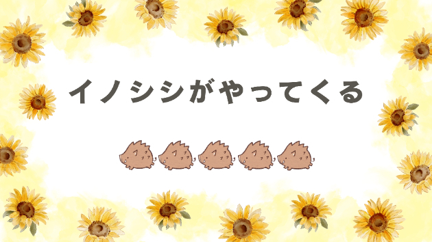 カバー画像
