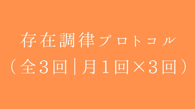存在調律プロトコル（全3回｜月1回×3回）