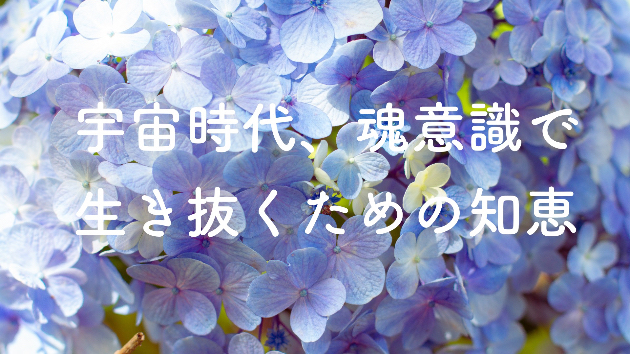 カバー画像