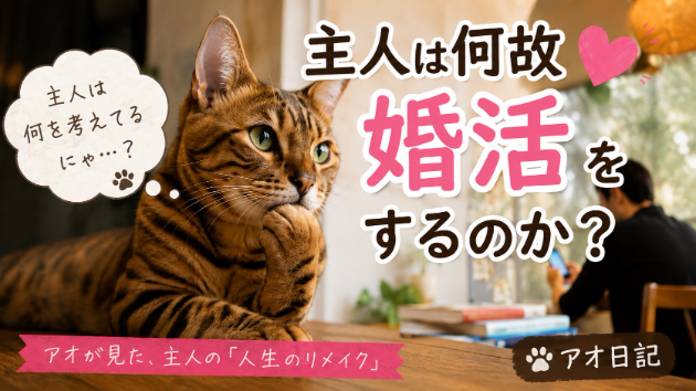アオのブログ「 主人は何故、婚活を休んでいるのか？にゃ！」