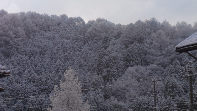 初雪