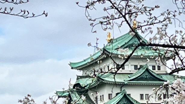カバー画像