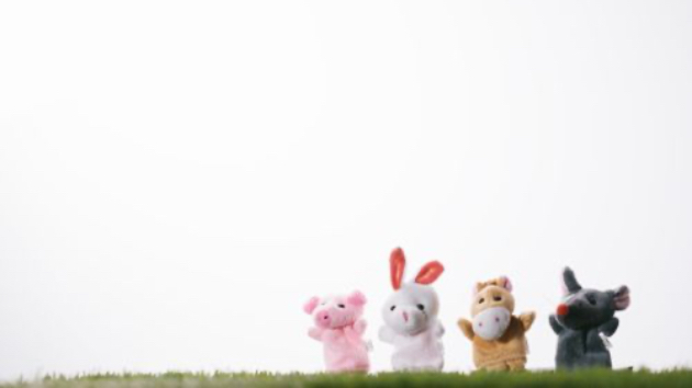 心がほっとする動画 きらら Coconalaブログ