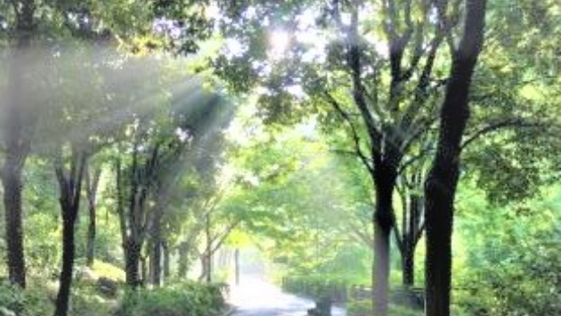 真実の言葉 526【神との対話①】