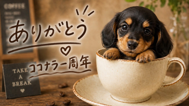 カバー画像