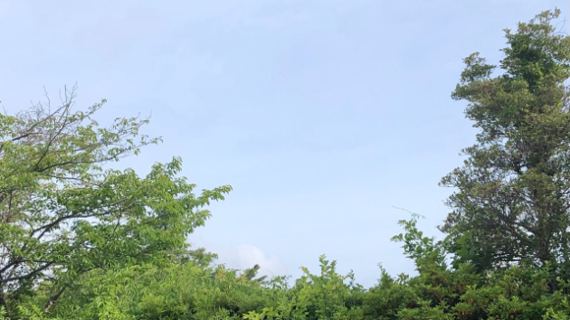☆リズムがポイント☆令和８年6月16日（火） 赤口☆