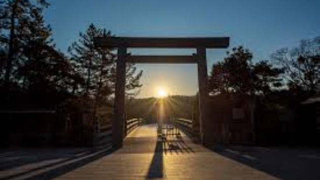 占い師元年スタートしたものの