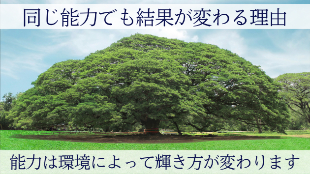 同じ能力でも結果が変わる理由