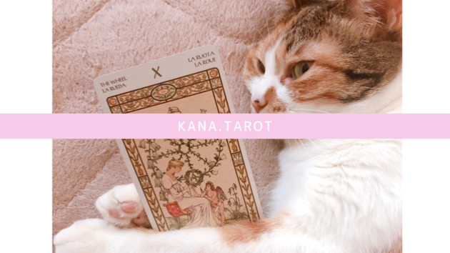 KANA.の鑑定の大前提🐈💕前向きな気持ちで受ける🌻🌈