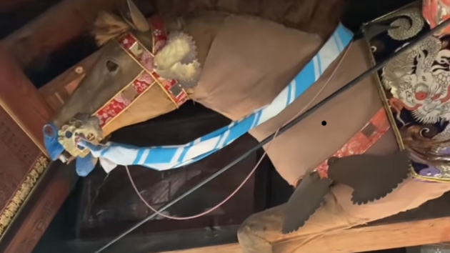 まるで生きているような迫力！お馬さんが飾られている神社