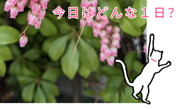 今日はどんな一日？(2023/4/7)