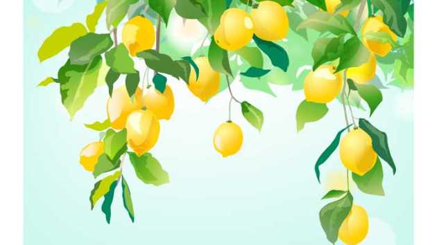Lemon　Design studio・maru
