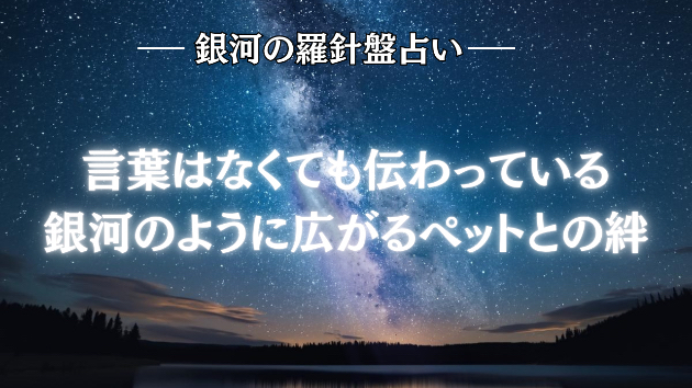 2026年6月26日☆銀河の導き（ペット）