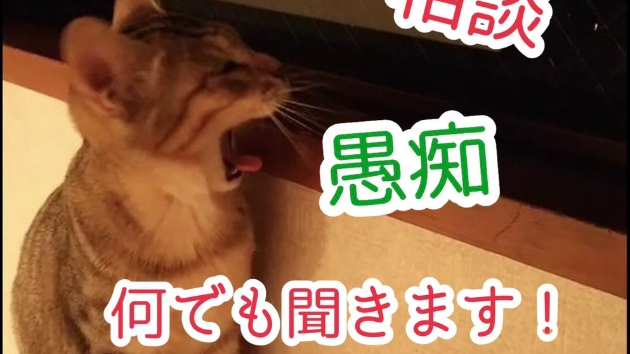 初投稿です。