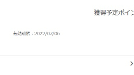ポイント