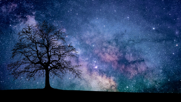 第10回｜七夕に向けて|願いを叶える星の使い方