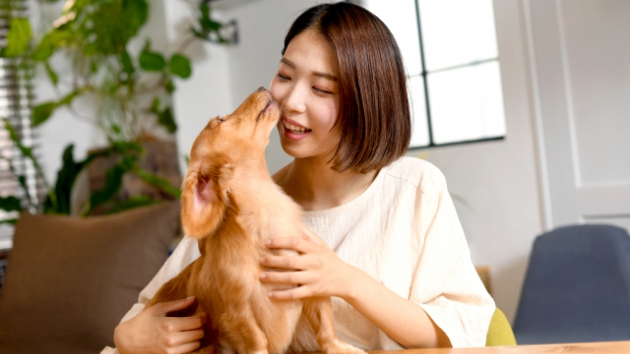 株式会社Three piecesの副業を批判するサイトって？