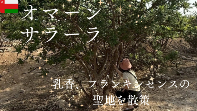 カバー画像
