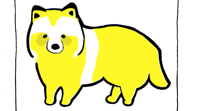 きょうのどうぶつ「タヌキ」
