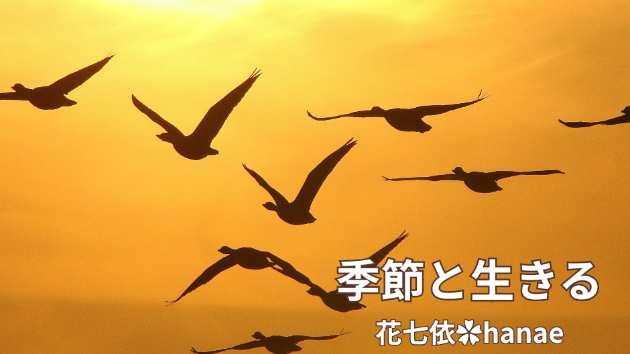 カバー画像