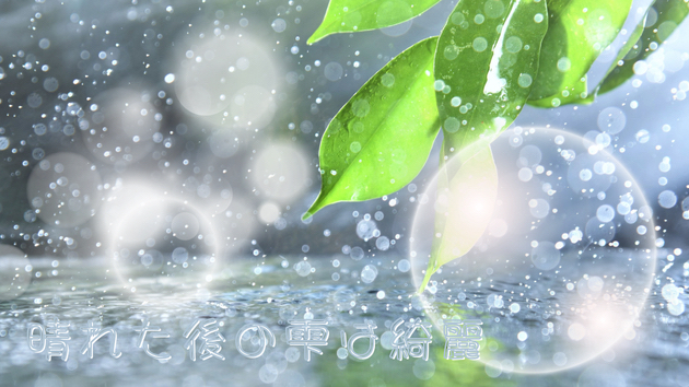 レイアウト