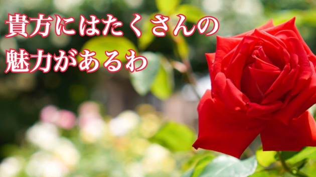 自分の魅力に気づいてね