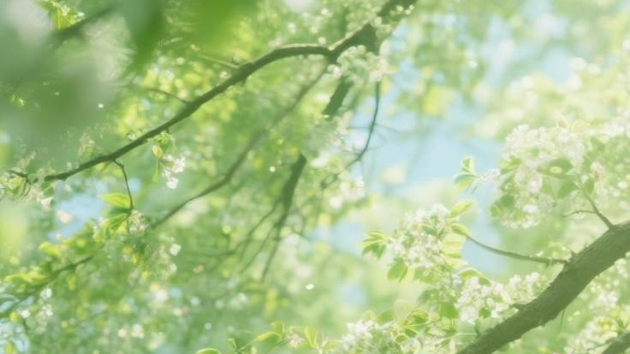 陰陽五行について