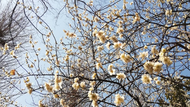 【起業】少数派は大概叩かれる。