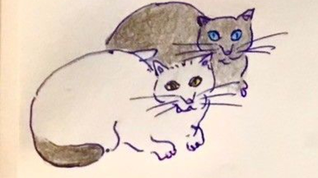 カバー画像