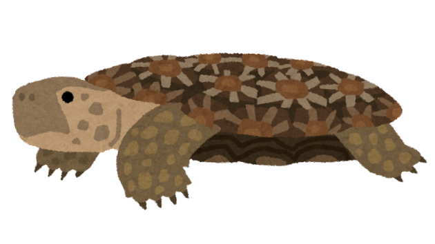 カバー画像