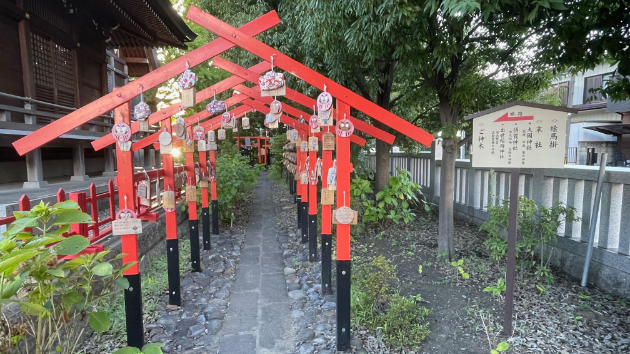 第77回　日盤吉方取り…朝日氷川神社（埼玉県川口市）