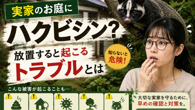 実家のお庭にハクビシン？放置すると起こるトラブルとは