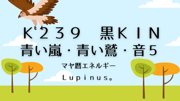 Ｋ２３９　マヤ暦エネルギー　黒ＫＩＮ