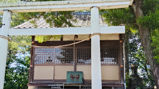 願いを叶えてもらったよ