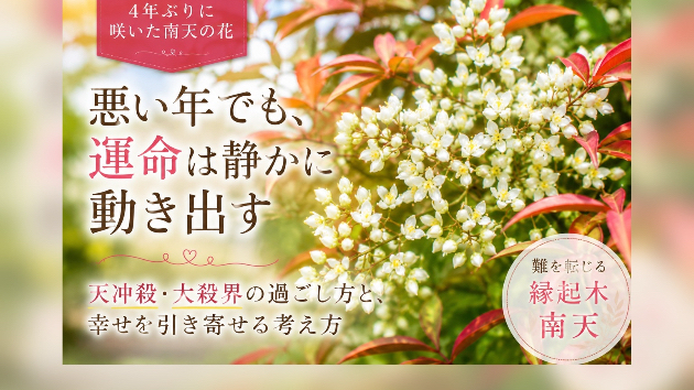 4年ぶりに南天の木が咲きました。悪い年だと思っていた私に届いた、小さな吉兆