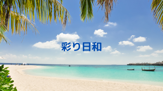 ８月に入りました！