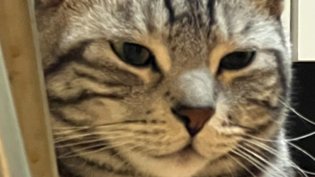 カバー画像