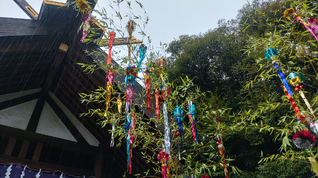 七夕直前＆夏越の大祓の直後の東京大神宮